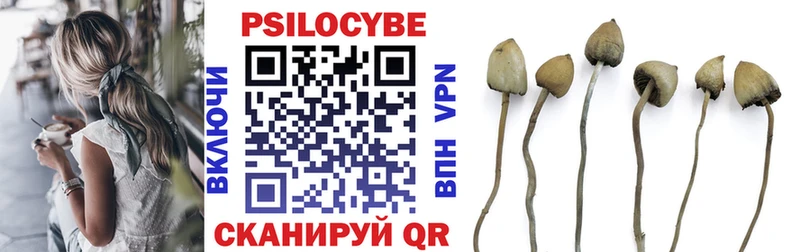 Псилоцибиновые грибы Cubensis Белоусово
